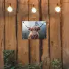 Schotse hooglander - Koe - Dieren - Berg - Natuur tuinposter los doek klein -sfeer1