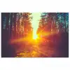 Zonsondergang - Bomen - Bos - Natuur poster papier klein -3d