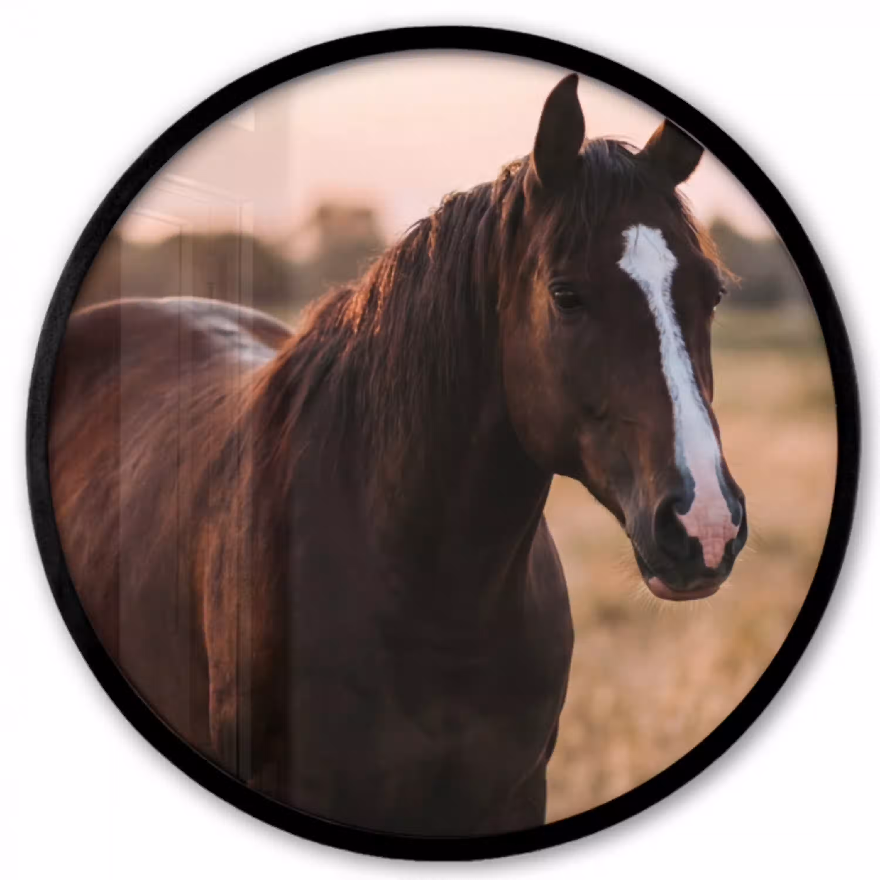 Paard - Zonsondergang - Bruin Fotolijst rond zonder passe partout klein -3d