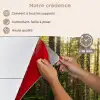 Bomen - Bos - Mos - Planten - Zon - Natuur keuken achterwand spatscherm klein -spatscherm_FR
