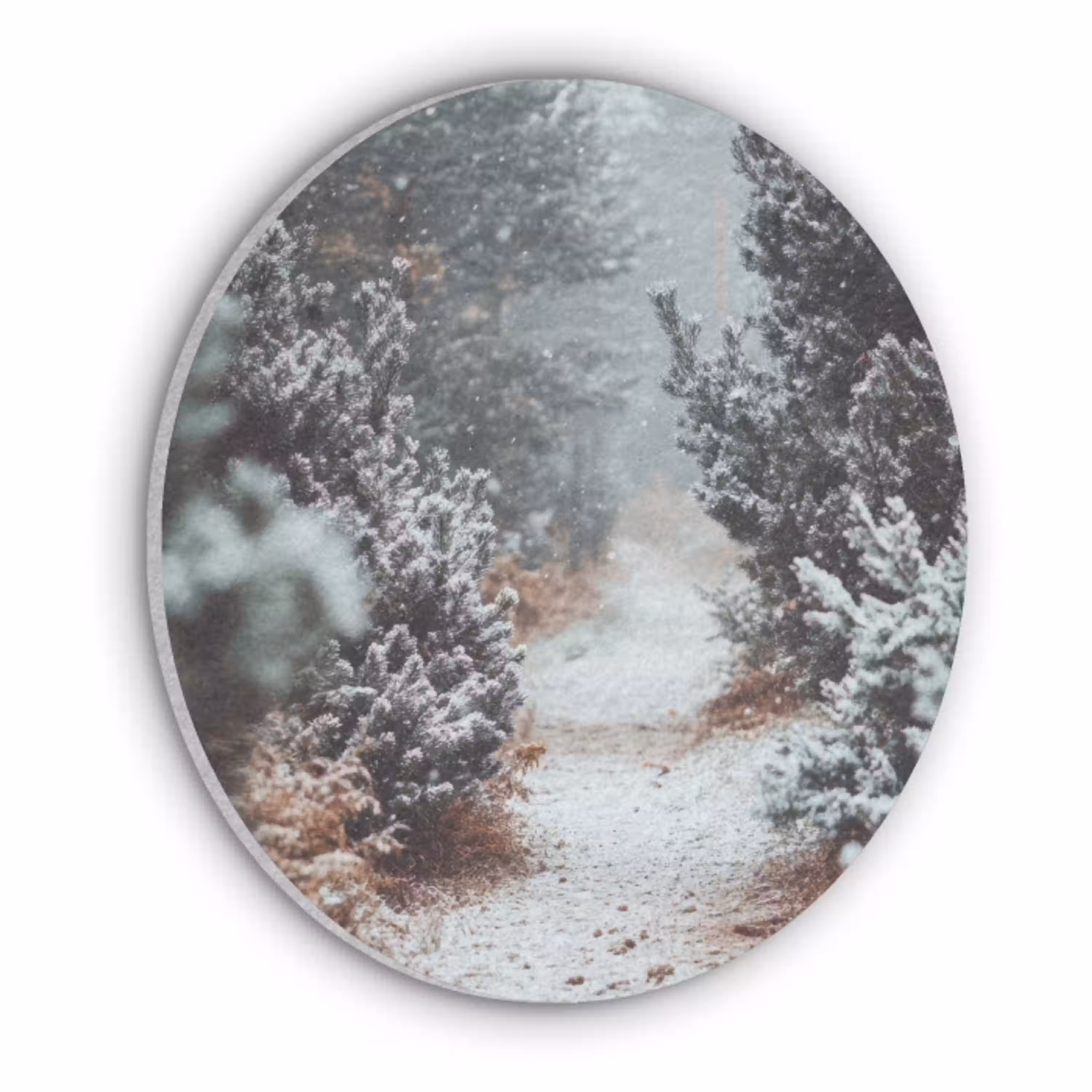 Bos - Winter - Bomen - Natuur - Pad - Sneeuw Akoestische PET Vilt - Rond klein -3d