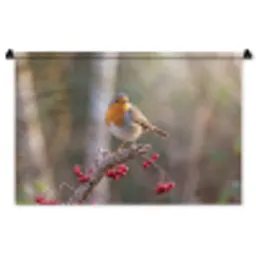 Roodborst - Tak - Bessen - Natuur Wandkleed katoen middel -zz3d