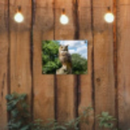 Uil - Boomstronk - Bos - Lucht tuinposter los doek klein -sfeer1