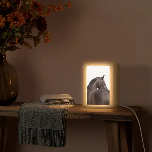Portret - Paard - Elegant Light Box met kabel (Tafellamp) klein -sfeer4