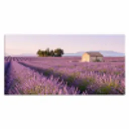 Lavendel - Landschap - Sereen - Paars Muismat XXL klein -3d_leeg