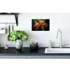 Specerijen - Explosie - Oranje Muursticker klein -keuken