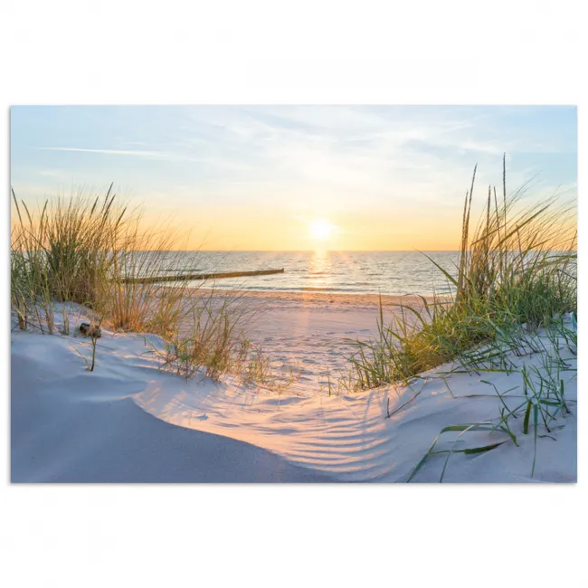 Poster - Strand - Sonne - Düne - Gras - Sand - Horizont