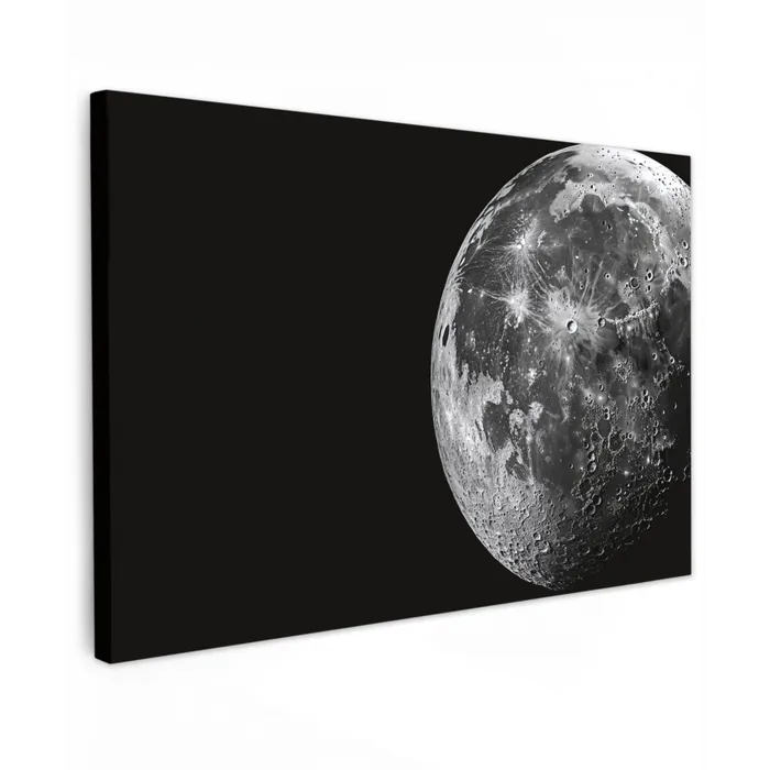 Close-up - Maan - Wit - Textuur Tuinposter op houten frame 2 cm dik klein -3d