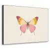 Vlinder - Illustratie - Roze Textielframe zwart klein -3d