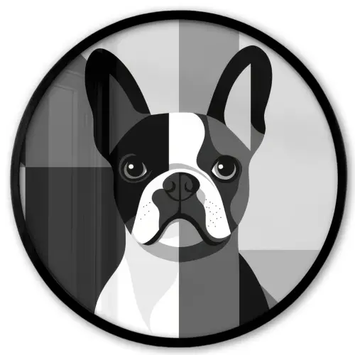 Buldog - Zwart - Abstract - Vlakken Fotolijst rond zonder passe partout klein -3d