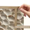 Schelpen - Waaiervorm - Wit Light Box met batterij (Wandlamp) middel 907 -USP_websiteprintNL