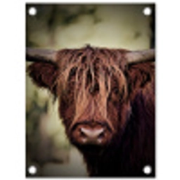 Majestueuze Hooglander in het Donker tuinposter los doek klein -3d