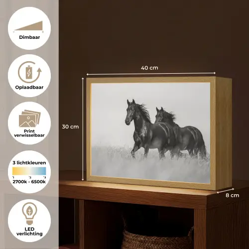 Paarden - Gras - Zwart - Wit Light Box met batterij (Wandlamp) middel -USP_websiteoverzichtNL