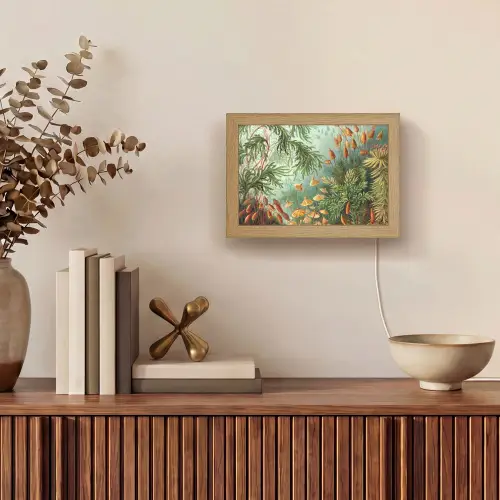 Oude meesters - Kunst - Muscinae - Haeckel Light Box met kabel (Tafellamp) klein -sfeer2