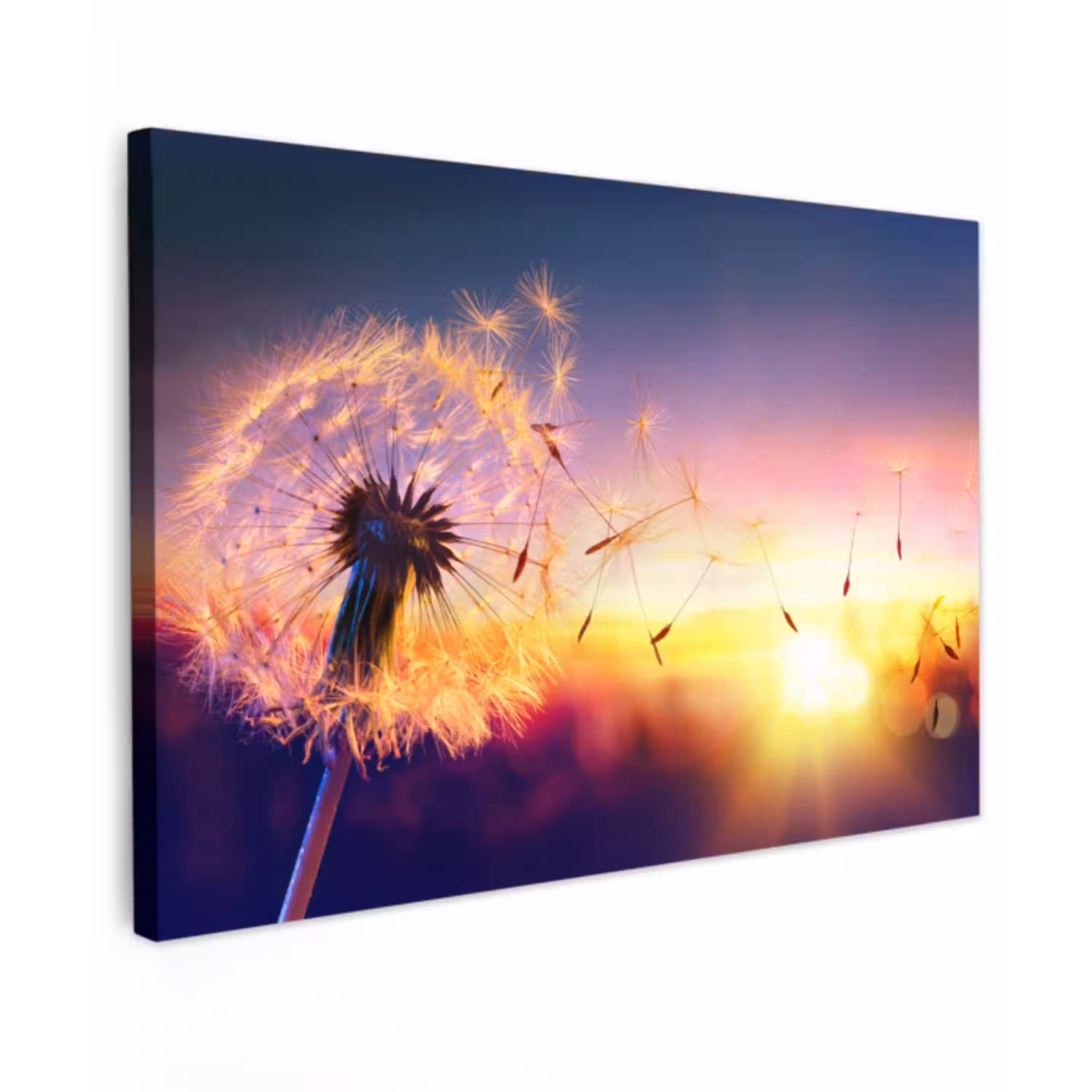 Paardenbloem in de Avondschemering Tuinposter op houten frame 2 cm dik klein -3d