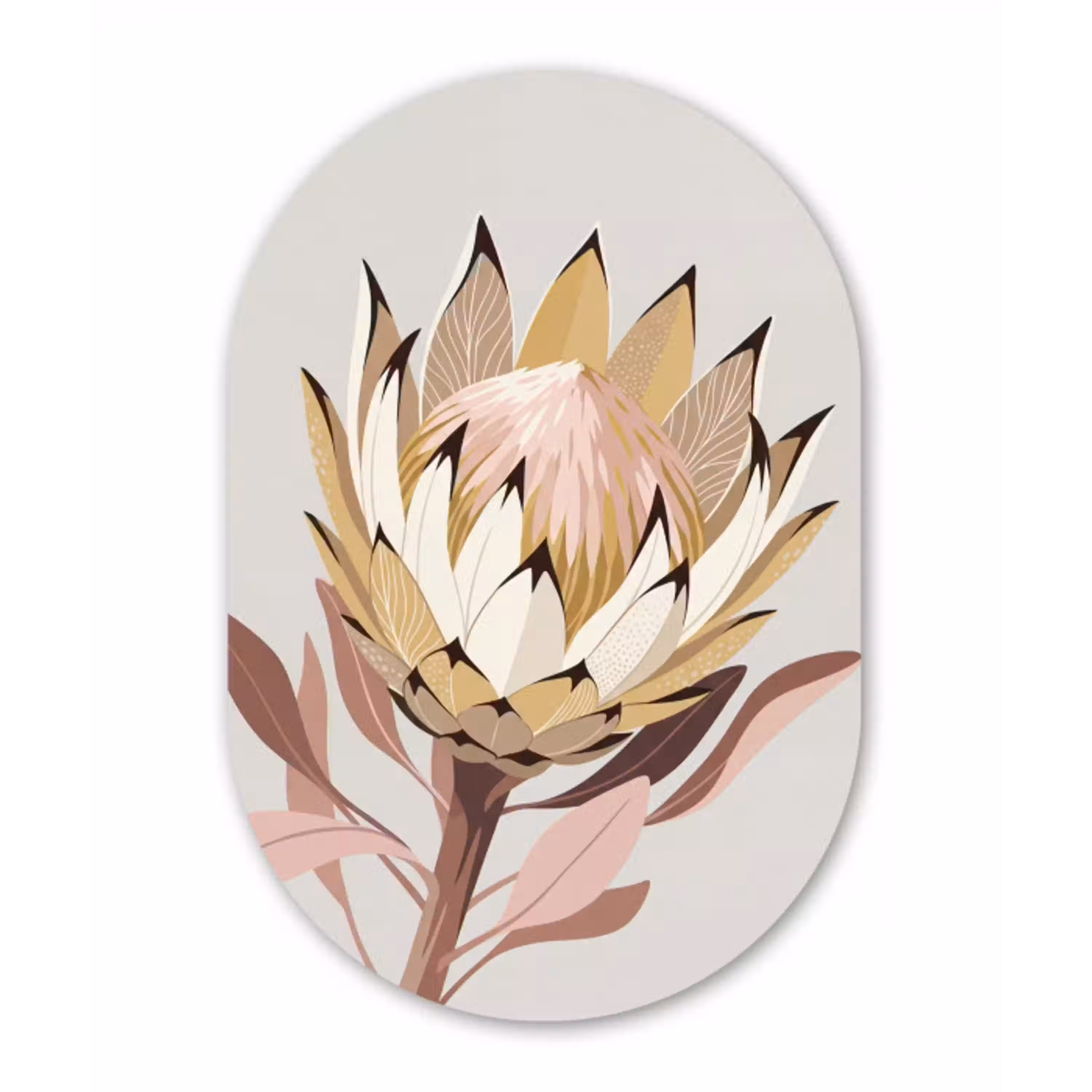 Protea - Bloem - Botanisch - Beige Wandcirkel Ovaal Aluminium middel -3d