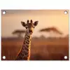 Giraf - Savanne - Bruin tuinposter los doek klein -3d
