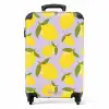 17 NBS - Handbagage koffer - Unisex middel -productfoto_recht