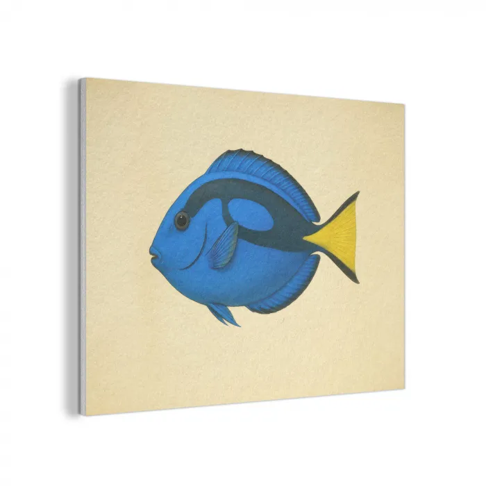 Blauw - Dory - Vis - Staartvin PET vilt klein -3d