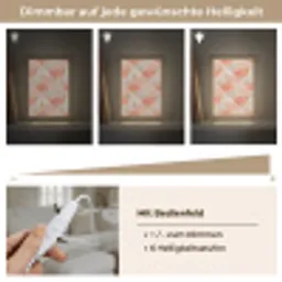 Waaiers - Goud - Roze Light Box met kabel (Tafellamp) klein 925 -USP_dimbaarDE