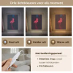 Flamingo - Roze - Neon - Licht Light Box met kabel (Tafellamp) klein -USP_lichtkleurNL