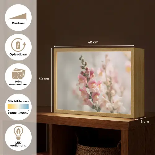 Bloem - Leeuwenbek - Roze - Stengel Light Box met batterij (Wandlamp) middel -USP_websiteoverzichtNL