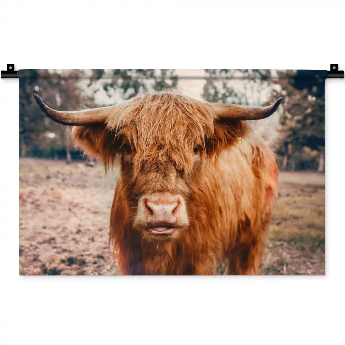 Koe- Schotse hooglander - Hoorns - Bruin - Landschap Wandkleed katoen klein -zz3d