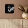 Kraanvogel - Zwart - Wit - Vogel - Dieren plexiglas 5mm klein -sfeer5