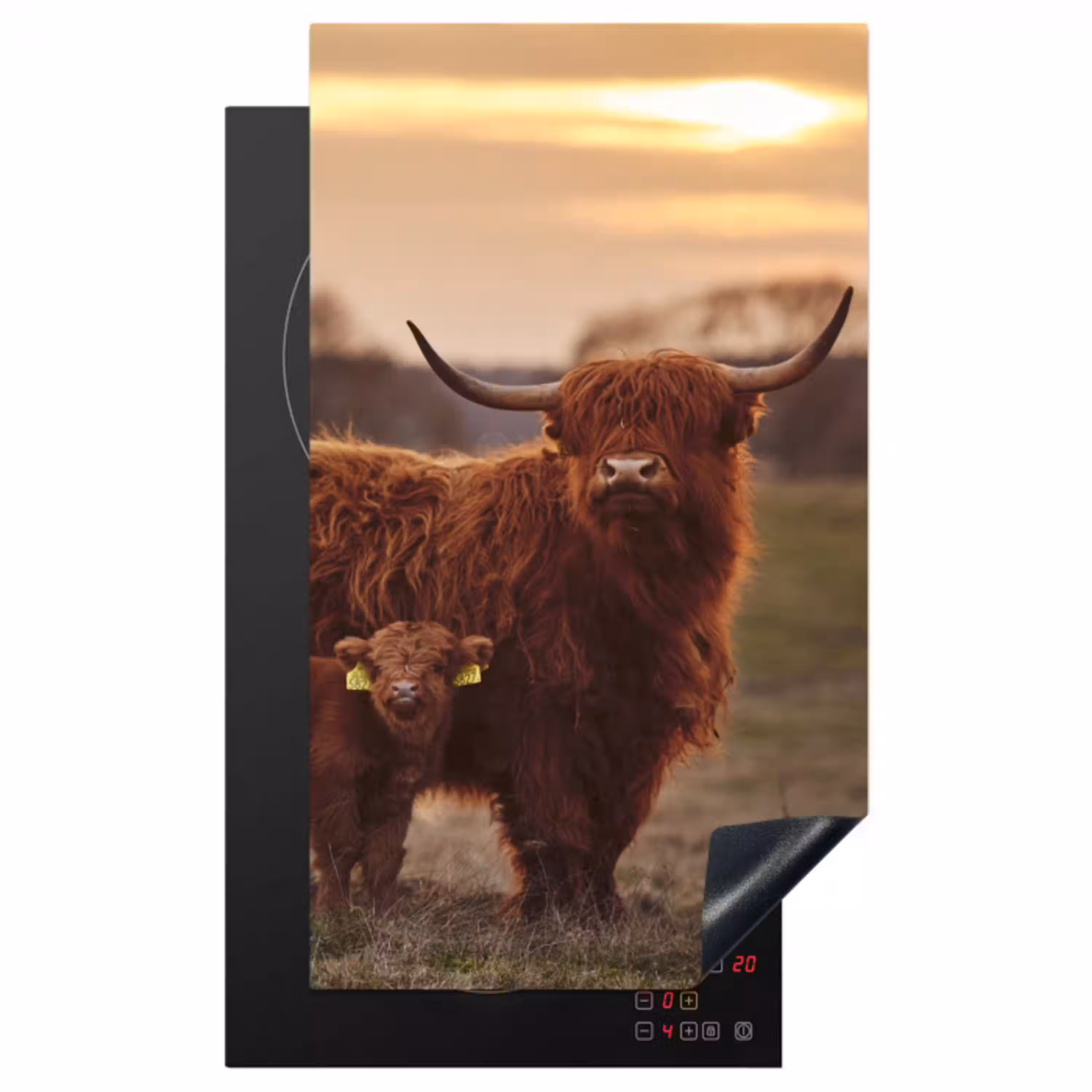 Schotse hooglander - Dieren - Landschap - Zonsondergang - Koe Inductie beschermer vinyl 3mm middel -3d