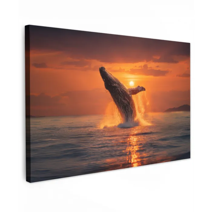 Walvis - Zon - Zee canvas 2cm klein -z3d