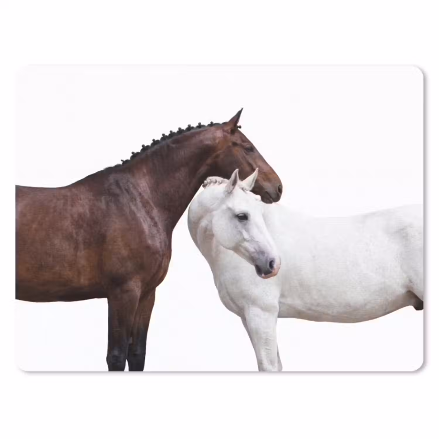 Muismat - Paard - Modern - Balans