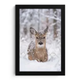 Hert - Sneeuw - Bos - Dieren - Vertederend fotolijst zwart zonder passe partout klein -3d