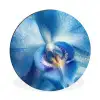 Blauw - Orchidee - Elegeant Wandcirkel aluminium klein -3d