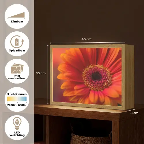 Oranje - Gerbera - Intens Light Box met batterij (Wandlamp) middel -USP_websiteoverzichtNL