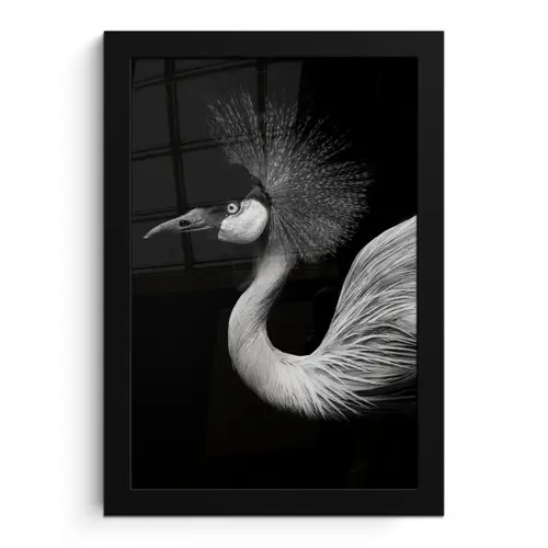 Kraanvogel - Zwart - Wit - Vogel - Dieren fotolijst zwart zonder passe partout klein -3d