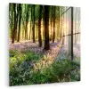 Bos - Bloemen - Lavendel - Zon - Paars - Natuur plexiglas 5mm klein -zzzproduct_nieuw