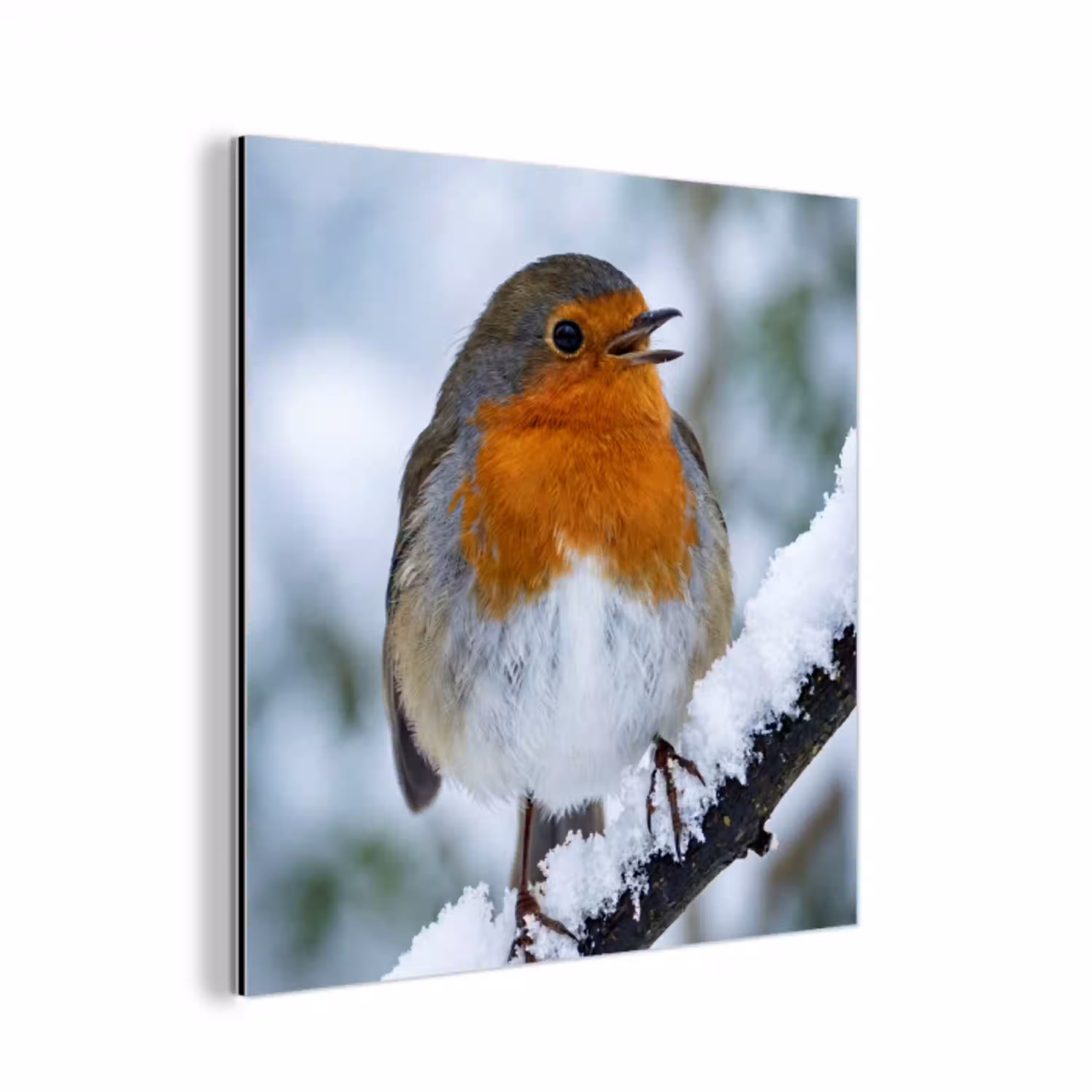 Roodborstje - Tak - Sneeuw - Winter - Levendig aluminium wit klein -3d