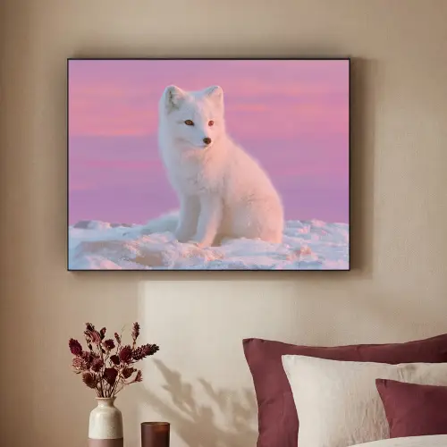 Poolvos - Sneeuw - Roze Textielframe zwart klein -sfeer1