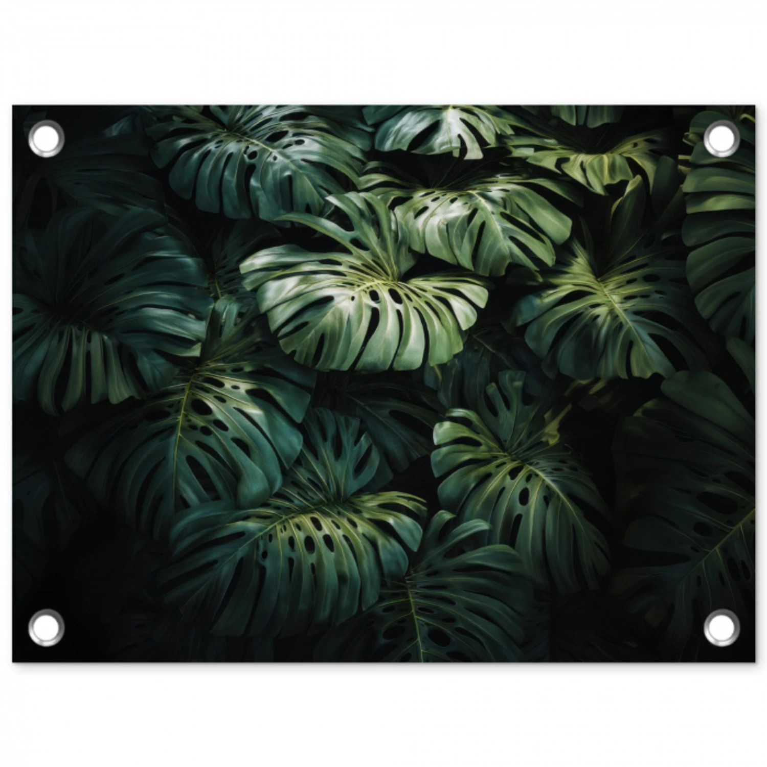 Plant - Monstera - Lichtinval tuinposter los doek klein -3d