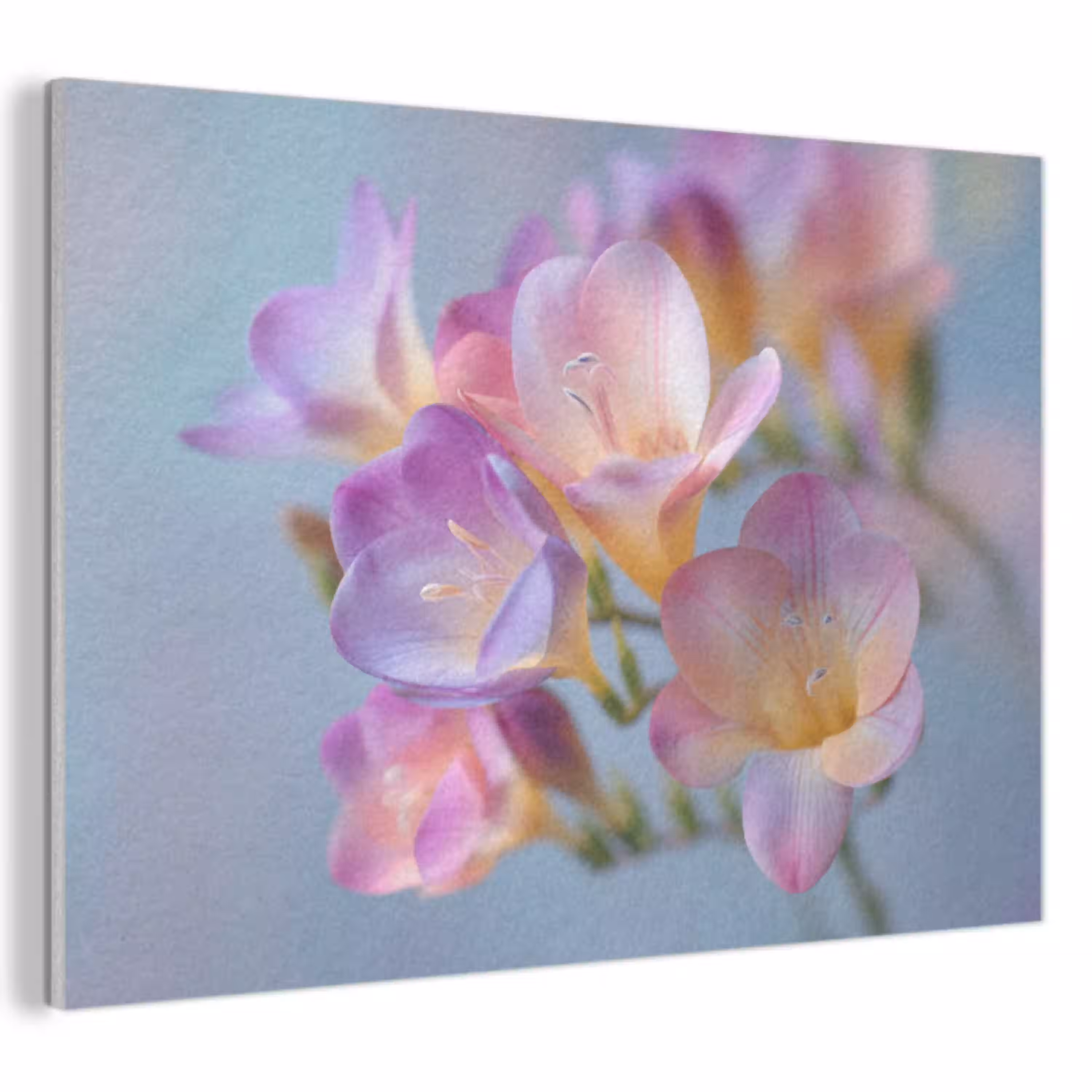 Bloemen - Paars - Overloop - Meeldraden PET vilt klein -3d