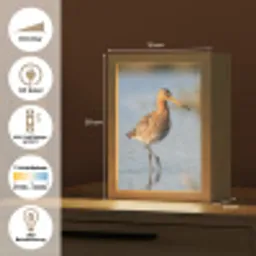 Vogel - Steltloper - Water - Natuur Light Box met kabel (Kinderlampje) klein -USP_DE