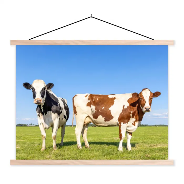 Koeien - Boerderij - Gras- Natuur - Dieren textielposter latten blank klein -3d