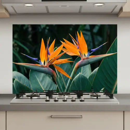 Paradijsvogel - Bloem - Exotisch keuken achterwand spatscherm klein -3d_website