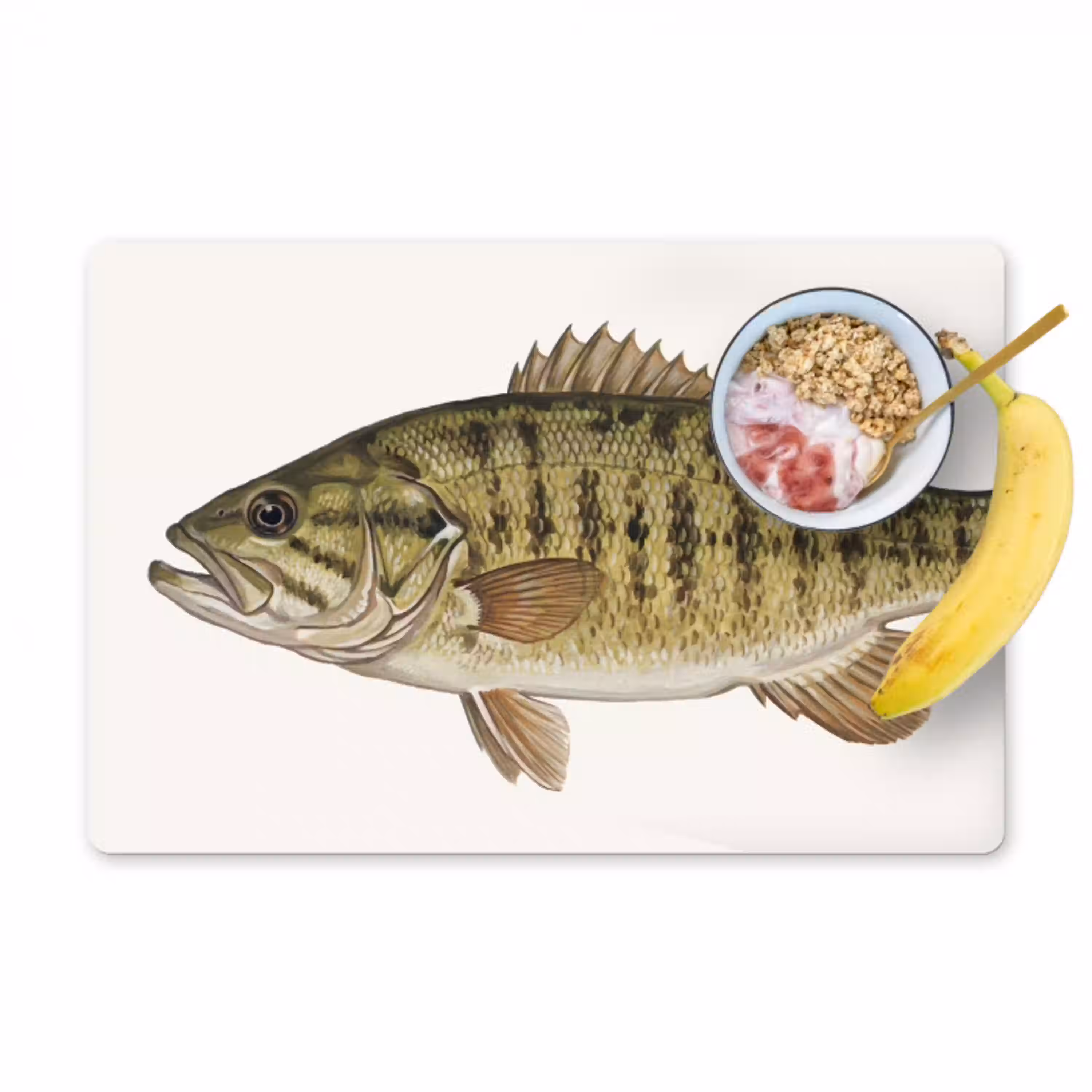 Vissen - Natuur - Vintage Placemat vinyl groot -zzzproduct_Kitchenyeah-website