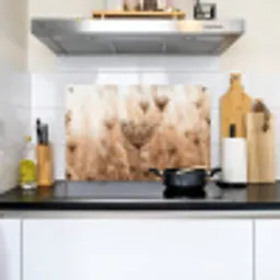 Schermbloem - Droogbloem - Winter - Beige - Minimalistisch Inductie beschemer met haakjes klein -sfeer2