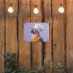 Papegaai - Koksmuts - Paars - Cute tuinposter los doek klein -sfeer1