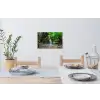 Jungle - Waterval - Planten - Water - Natuur Muursticker klein -eettafel