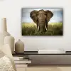 Olifant - Natuur - Gras - Dieren - Landschap canvas 2cm klein -sfeer6
