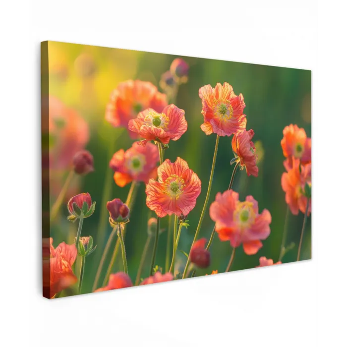 Bloemenveld - Zonnestralen - Oranje canvas 2cm klein -z3d