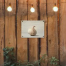 Knoflook - Natuurlijk - Beige tuinposter los doek klein -sfeer1